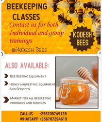 beekeeping theory and practical classes