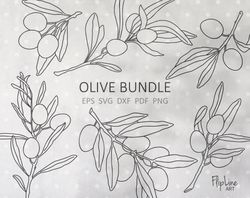 clip art olive branch botanical svg olive svg bundle svg files for cricut png, dxf, eps, pdf