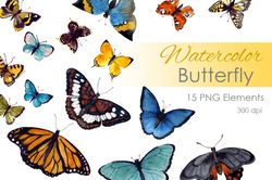 watercolor clipart. watercolor digital clipart. butterfly png. butterfly clip art. insect clipart. tropical butterflyes