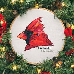 red cardinal bird cross stitch pattern pdf winter state bird christmas ornament embroidery design holiday decor, digital