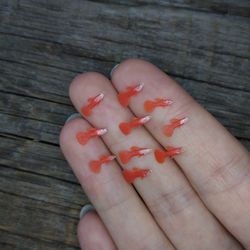 miniature clay red guppy 10 pcs, tiny fish for diorama, resin art or dollhouse aquarium