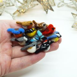 set of ten miniature needle felted birds, cardinal, robin, blue tit, blue jay, goldfinch, tiny birds