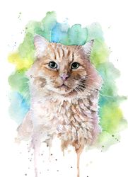 custom watercolor cat