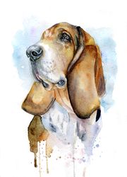 custom watercolor dog, portrait from photo, bassethound painting