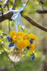 dandelions photo, colorful digital picture, printable flowers photography