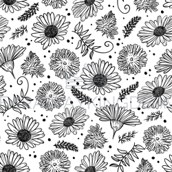 chamomile and dandelion seamless pattern vector illustration