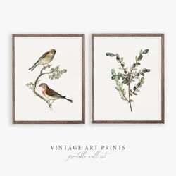 set of 2 vintage wall art print | bird print | green branch | instant download | decor living room | 12