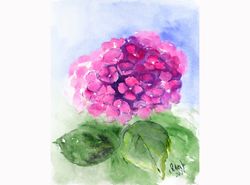 hydrangea painting flower original watercolor pink floral artwork 10x8'' by natalymak