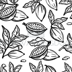 cocoa monochrome sketch seamless pattern vector illustration