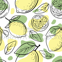 citrus abstract delicious fruit hand drawn seamless pattern