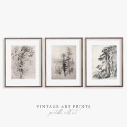 antique tree drawing print | landscape sketch | pine tree | black and white | digital printable | 13