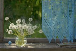 white flowers photo, still life photography with a bunch of dandelions in a sunny day, digital download.