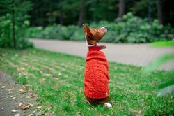 knitted dog sweater sweater for dog iggy clothes basenji clothes sweater for yorkshire terrier pet wear