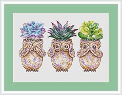 owl cross stitch pattern cactus cross stitch pattern succulents cross stitch pattern flower cross stitch pattern