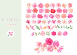 pretty roses watercolor set garden romance floral blush pink watercolor floral clipart