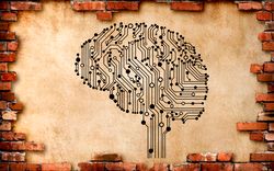 artificial intelligence and the brain, microcircuit, computer technology, it technology, wall sticker vinyl decal mural