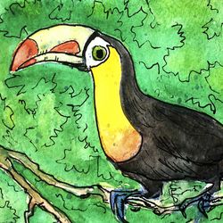 african toucan original watercolor painting african original art animal african wall art 5 by 7