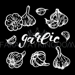 GARLIC LETTERING Spicy Seasoning Vector Illustration Set