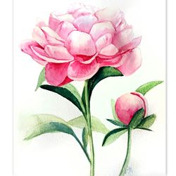 peony painting floral original art flower watercolor