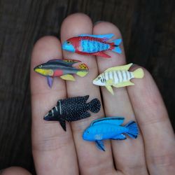 miniature various cichlids fish 5 pcs, tiny fish for diorama, resin art or dollhouse aquarium, collectible miniature