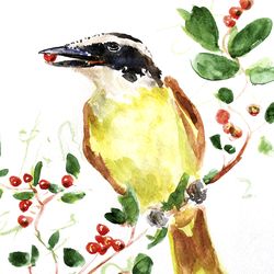 great kiskadee bird original watercolor painting animal original art 12 by 8