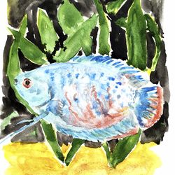 fish gourami male original watercolor painting trichogaster lalius fish original aquarium art 12 by 8