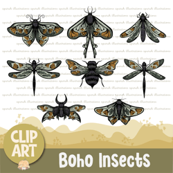 boho mystical insect bugs clipart set