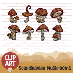 collection of scandinavian mushrooms clipart for decoration, stickers, printable, sublimation and more