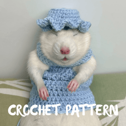 crochet pattern rat coat sweater rat/easy rat pet crochet pattern/instant zip download/rat top sweater beginner pattern