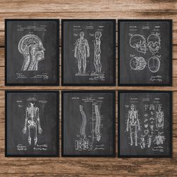 set of 6 anatomy patents, decor gifts, medical school student, nurse, doctor, surgeon, doctor gifts, medical student