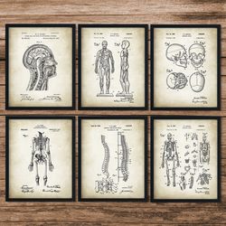 set of 6 anatomy patents, decor gifts, medical school student, nurse, doctor, surgeon, doctor gifts, medical student