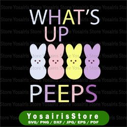 what's up peeps happy easter family girl boy easter bunny svg, bunny rainbow svg, easter rabbit svg, easter svg