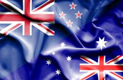 payment digital listing for shipping goods to australia / new zealand 7
