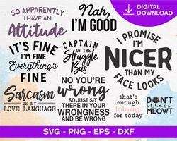 80 sassy quotes svg bundle - svg, png, dxf, eps, pdf files for print and cricut