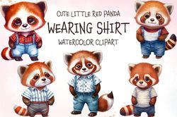 05 files of little red panda wearing shirt png animal sublimation graphic design