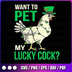 want to pet my lucky cock png, funny st patrick day png, funny cute chicken st patrick png, chicken lover png