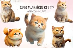 05 png of cute munchkin kitty sublimation cat lover png files design bundle