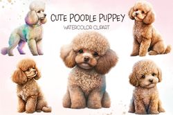 05 files of cute poodle puppey png animal lover sublimation watercolor clipart