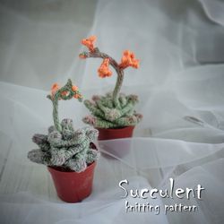 succulent pattern, realistic plant for interior decor, knitting pattern, handmade plant, cactus lover gift, pdf pattern