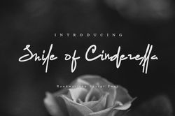 smile of cinderella trending fonts - digital font