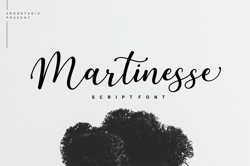 martinesse – beautiful script font trending fonts - digital font