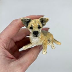 for raquel. miniature dog. the dog is a crocheted souvenir. individual order. miniature shepherd. dog as a gift