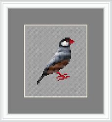 bird java sparrow cross stitch pattern