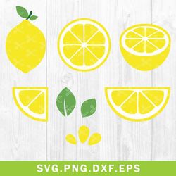 lemon slice bundle svg, lemon slice svg, lemon svg, png dxf eps file