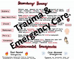 trauma and emergency care  2024 | pdf file | pages 3