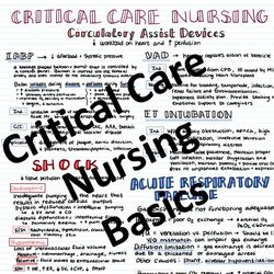 critical care nursing basics 2024 | nursing bundle | pdf file | pages 8