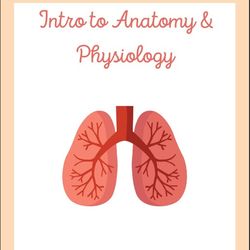 intro to anatomy & physiology 2024 | nursing bundle | pdf file | pages 4