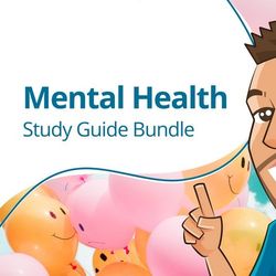 mental health study guide bundle  27 pages  digital download  | nursing bundle | pdf file