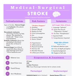 medical surgical neurological | nursing bundle | pdf file | pages 12