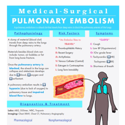 medical surgical respiratory 2024 | nursing bundle | pdf file | pages 7